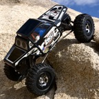 Losi 1:18 Mini-Rock Crawler RTR *PREORDER*